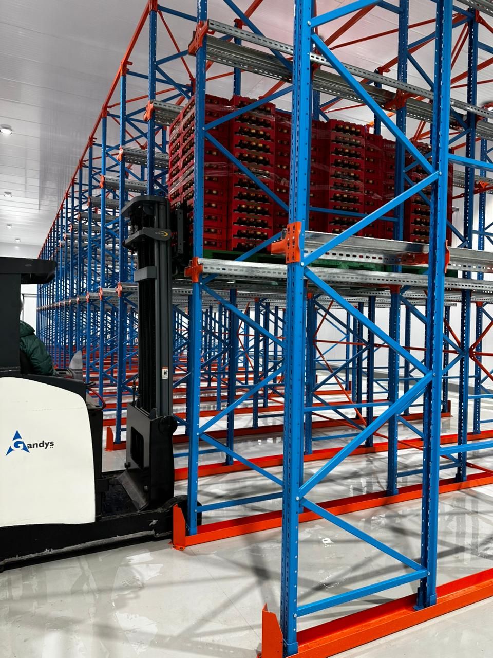 Banner de artículo: -